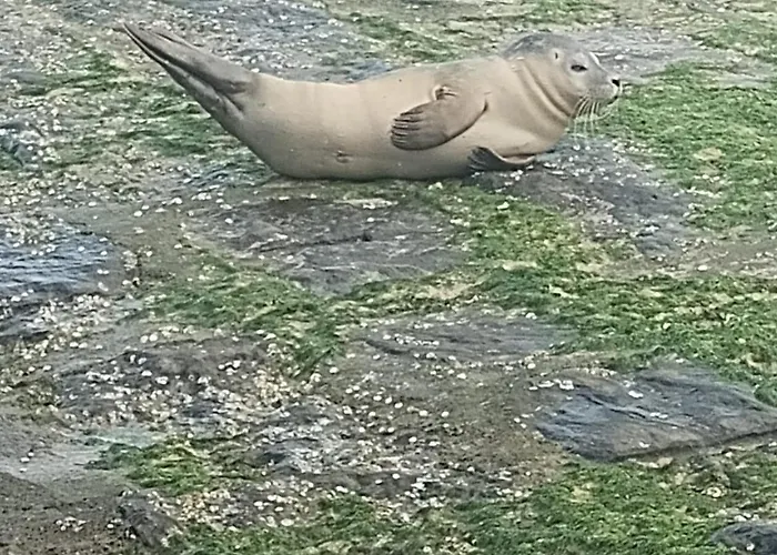 Zonnegloed Appartement *