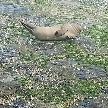 Zonnegloed Apartamento *